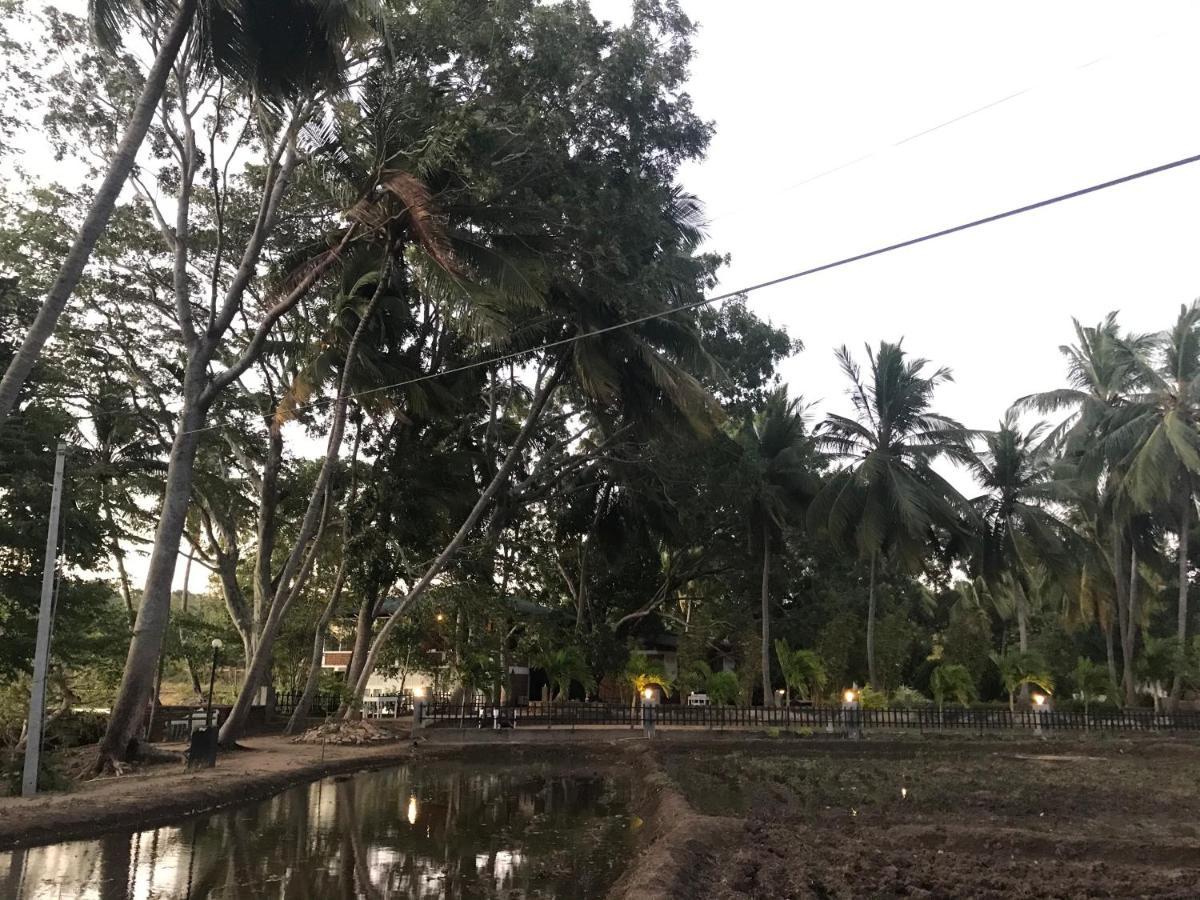 Sethway Village مينيريا المظهر الخارجي الصورة